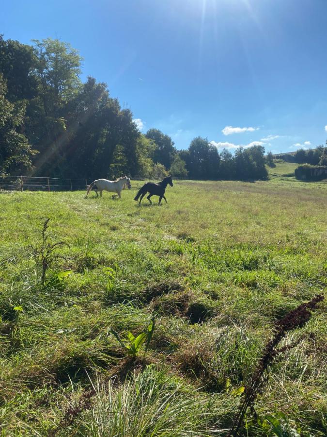 Chez Sophie -Chambres D'Hotes, Gite Et Gite Equestre Clermont-Dessous Εξωτερικό φωτογραφία